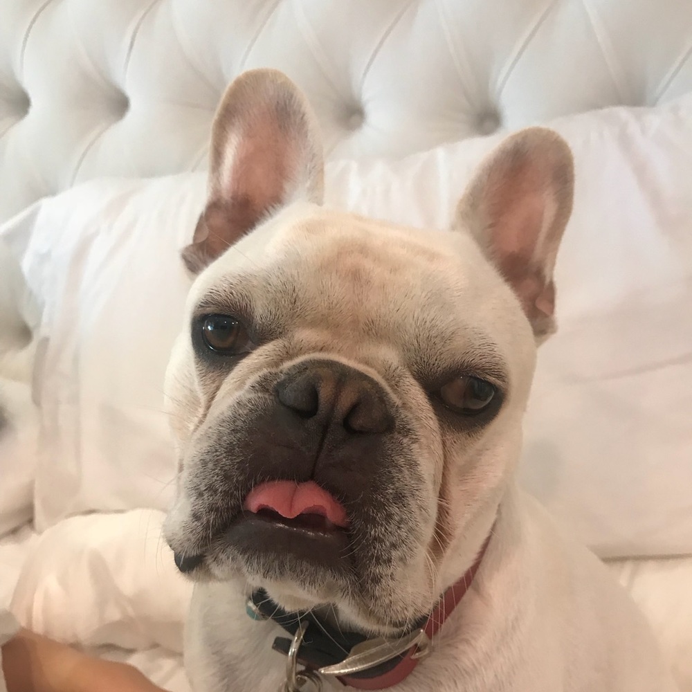 Meet your Posher, Mishelle